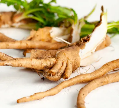 Javatide-Chicory Root Inulin